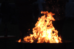 DSCN5133