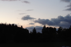 DSCN5153