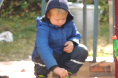 DSCN5346